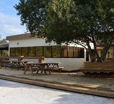 Budget Inn Of Deland Extérieur photo